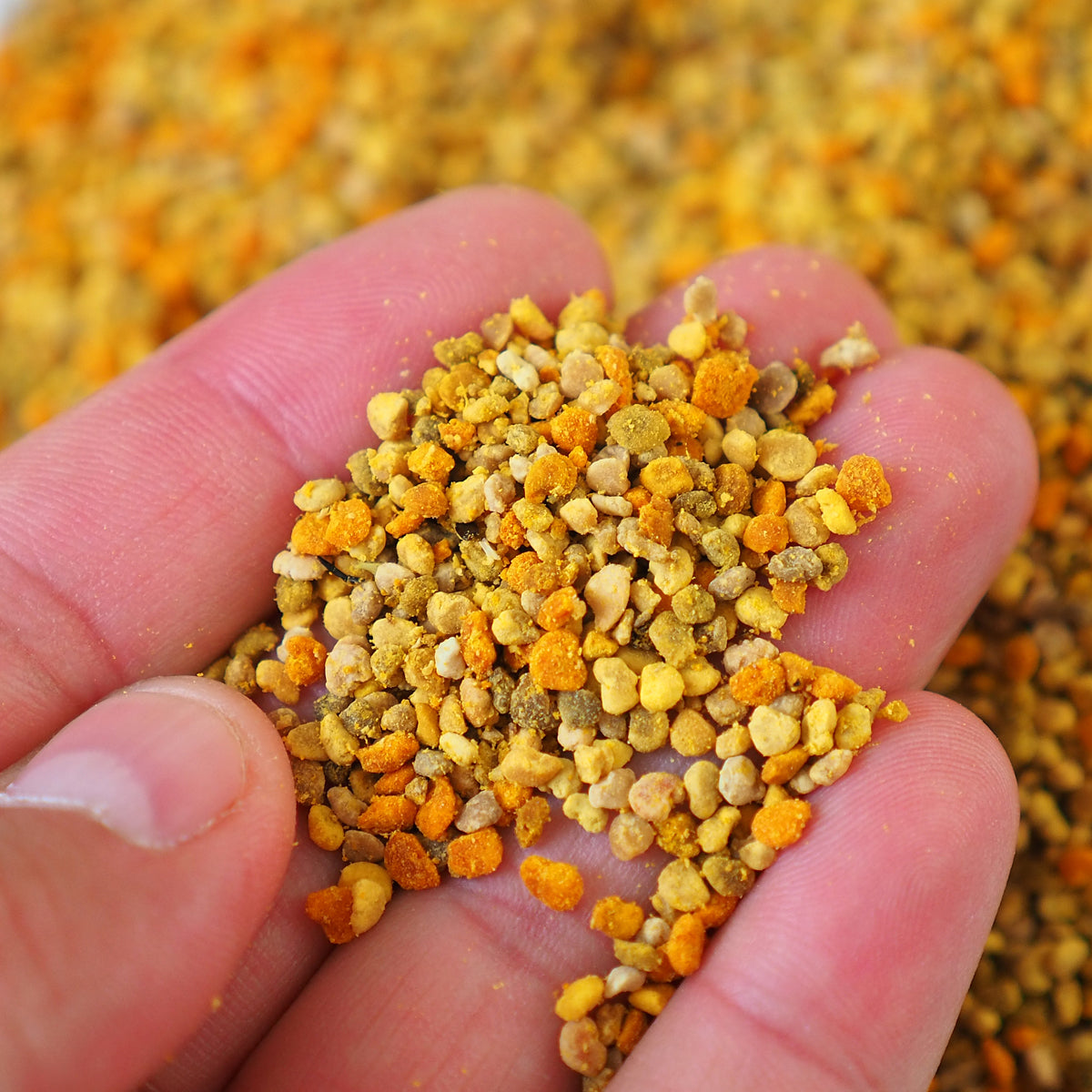 Mannavita tørret multifloral bipollen • 500 g