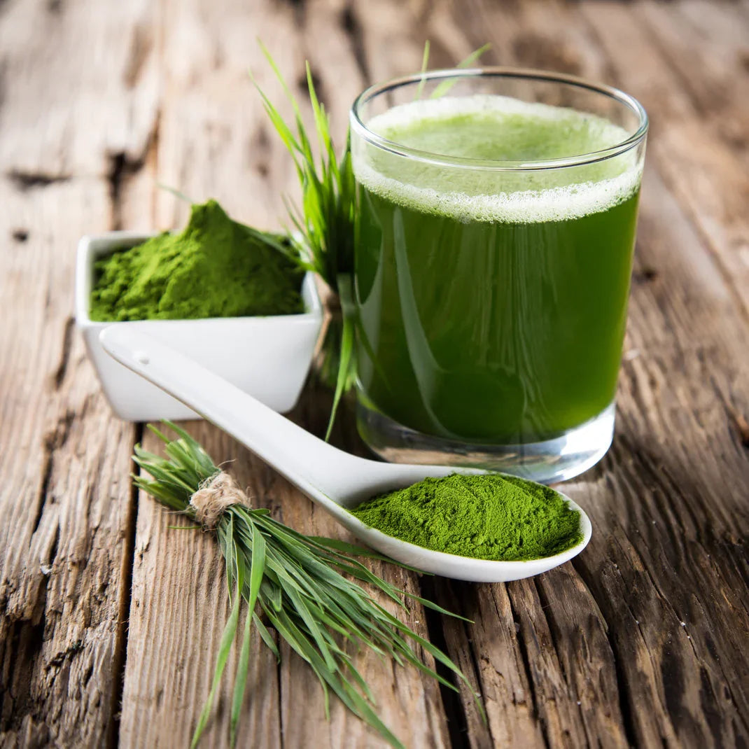 Mannavita raw wheatgrass juice powder • gluten-free • 140g - Mannavita