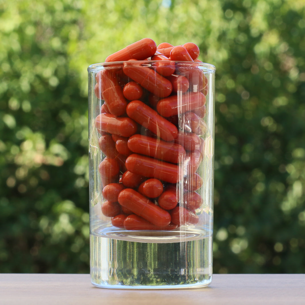 FEMNOX Gelé Royal + Inositol + Folinsyre + B12 kompleks • 90 kapsler