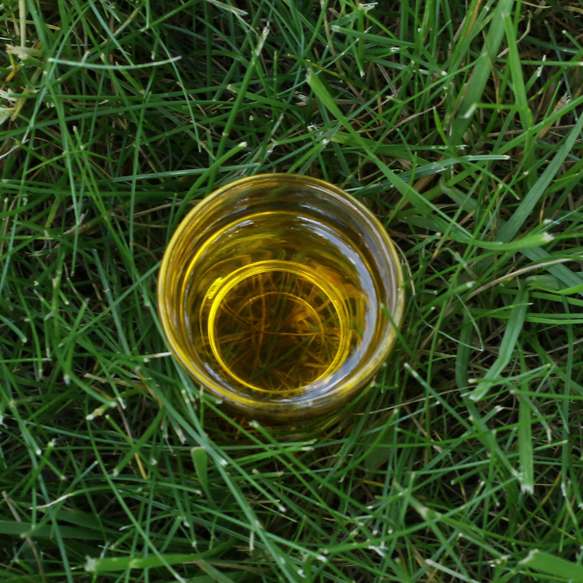 Mannavita ungarsk koldpresset hørfrøolie • 250 ml