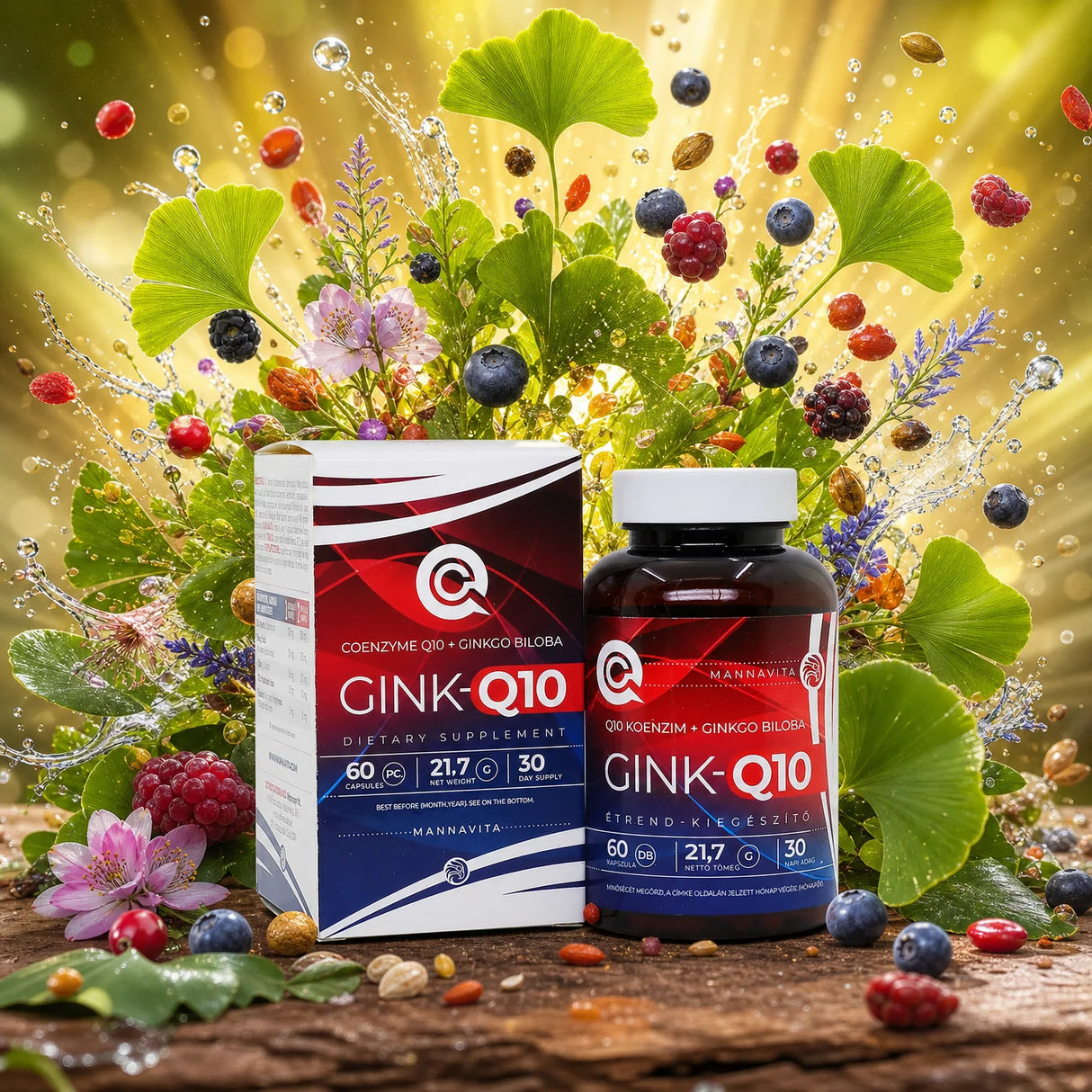 GINK-Q10 • Q10 Coenzym + Ginkgo Biloba kompleks • 60 kapsler