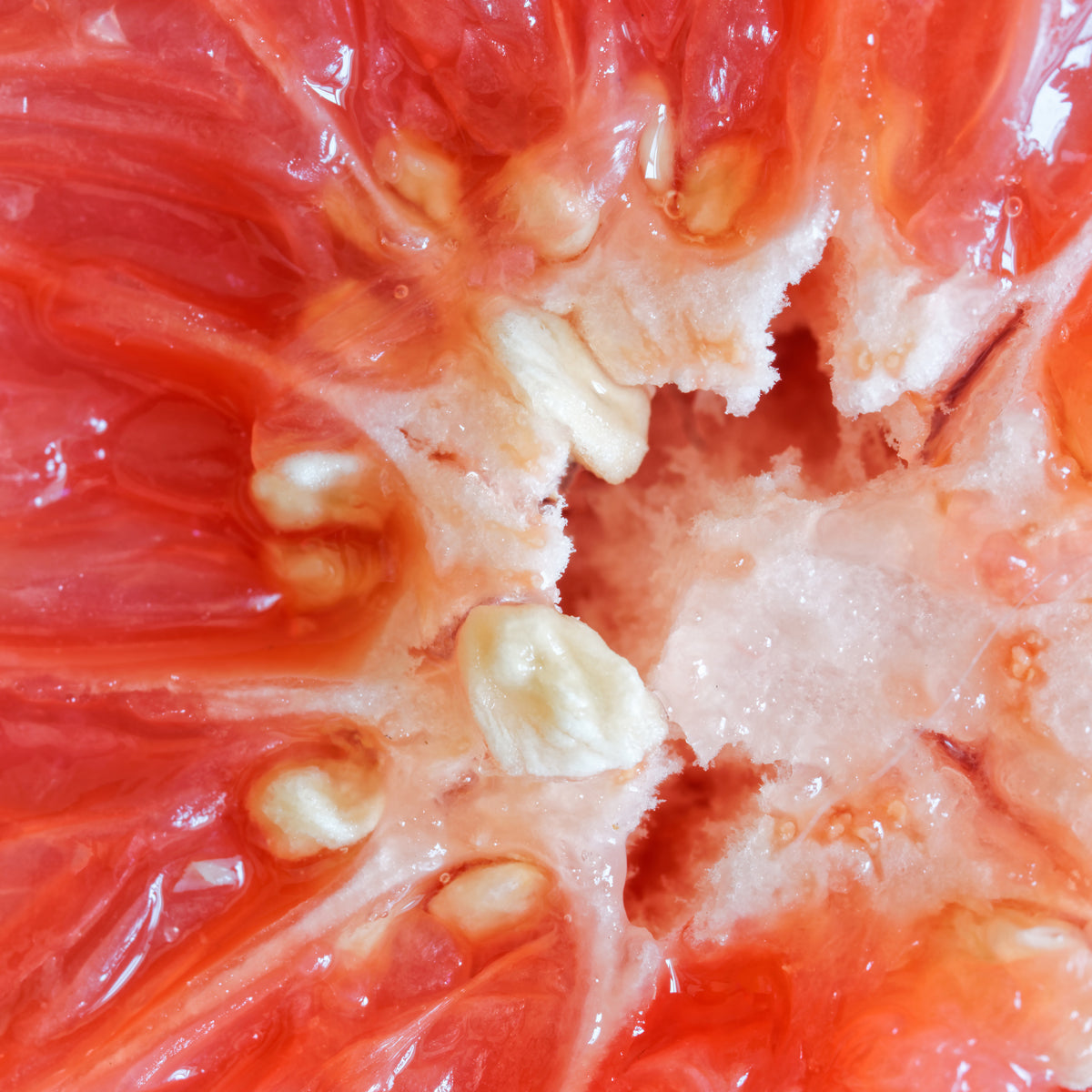 Mannavita Ekstrakt af grapefrugtkerner dråber • 100 ml