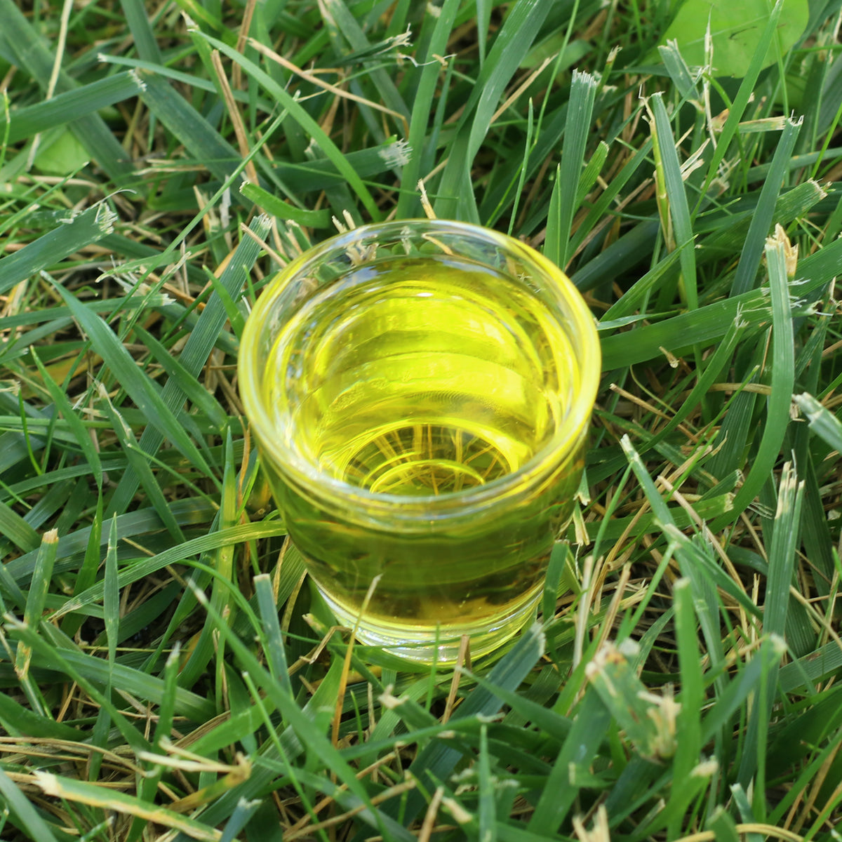 Mannavita ungarsk koldpresset marietidselolie • 250 ml