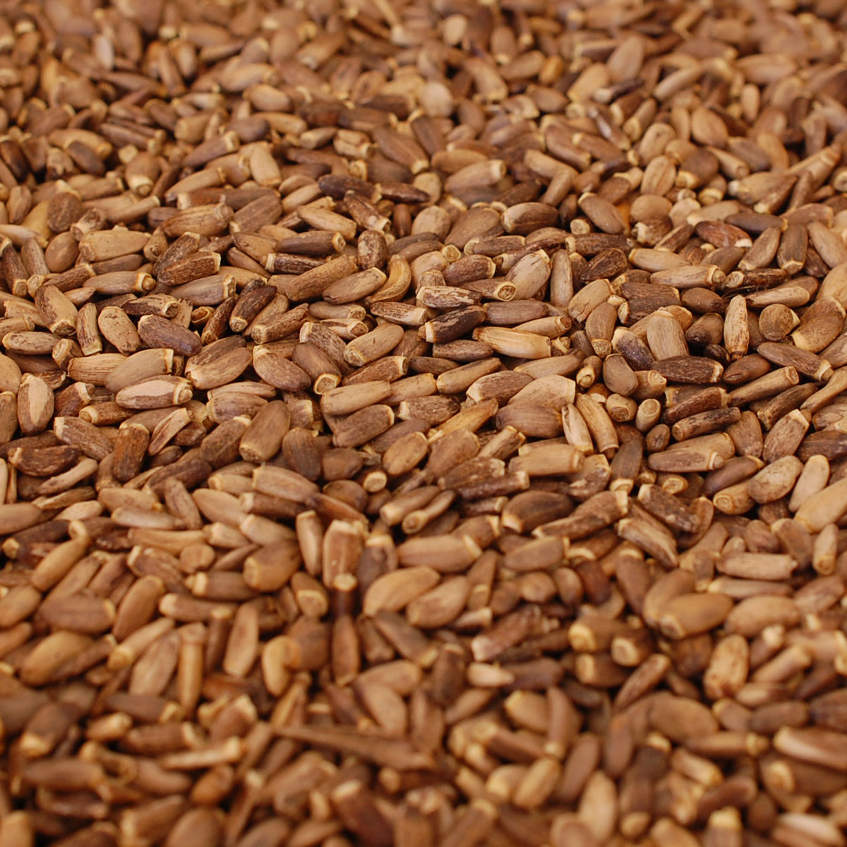 Mannavita ungarsk koldpresset marietidselolie • 250 ml