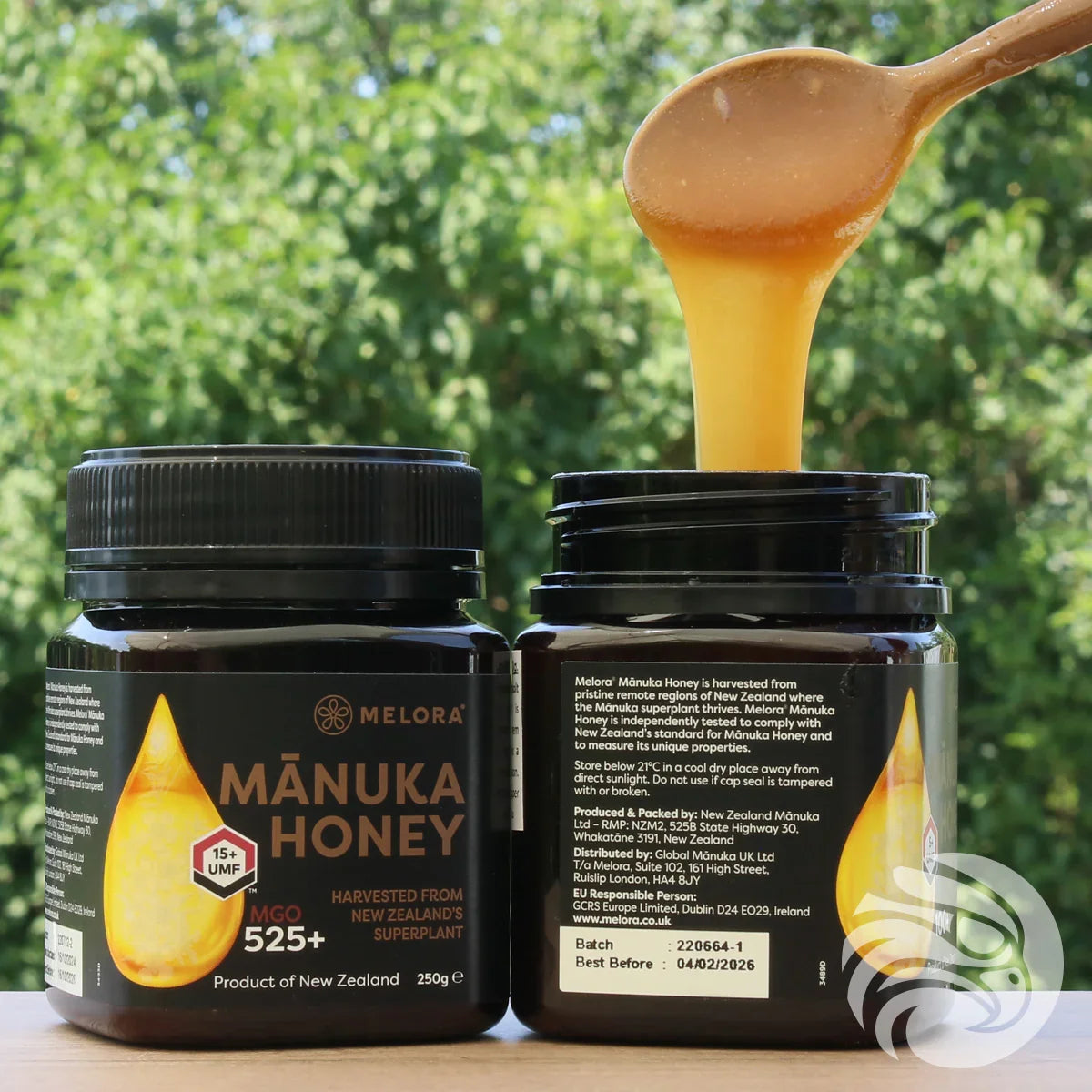 Melora Manuka Honey 525+ MGO™ UMF 15 • 250 g - Mannavita