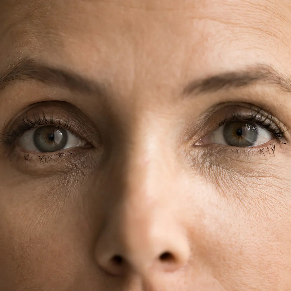 PrOcum Eye strengthening complex • 60 capsules - Mannavita