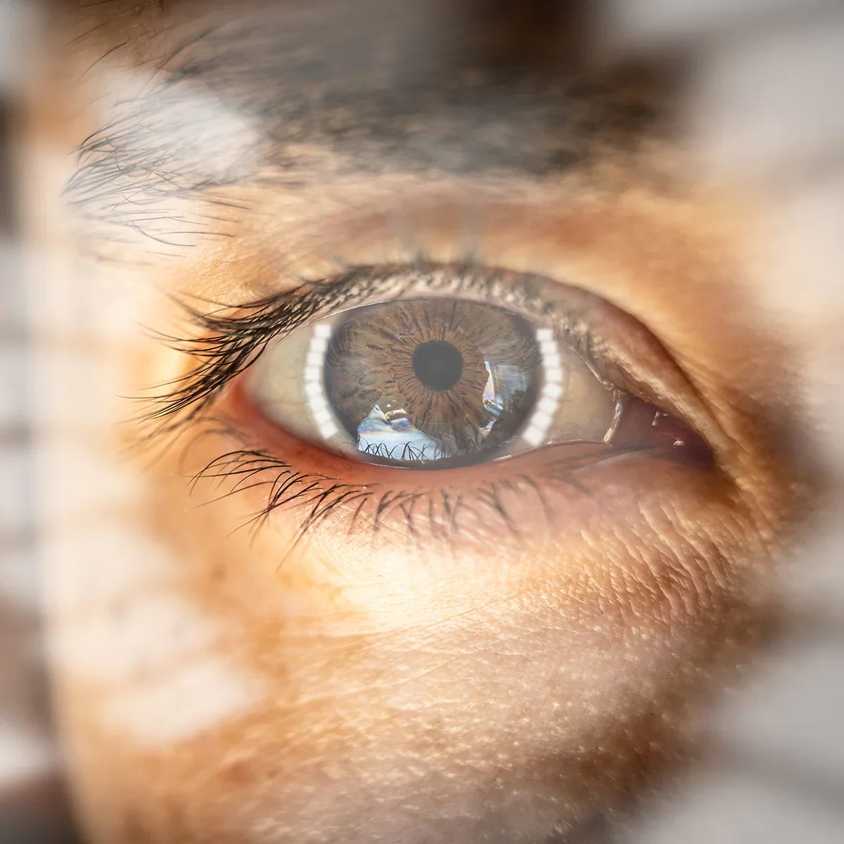 PrOcum Eye strengthening complex • 60 capsules - Mannavita