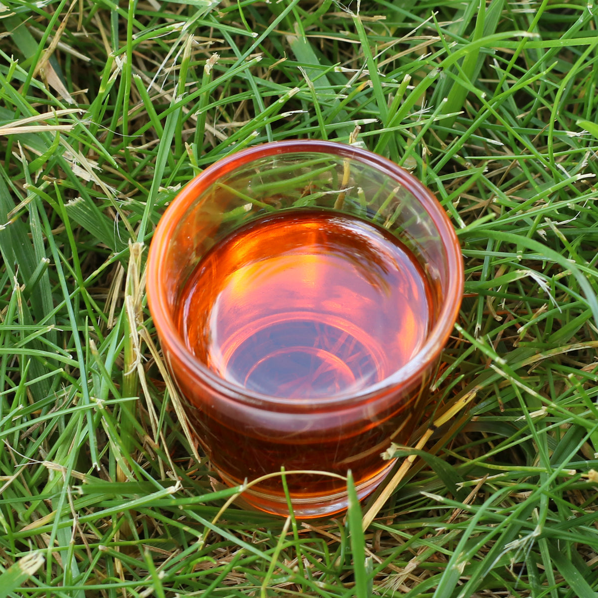 Mannavita ungarsk koldpresset havtornfrøolie • 40 ml