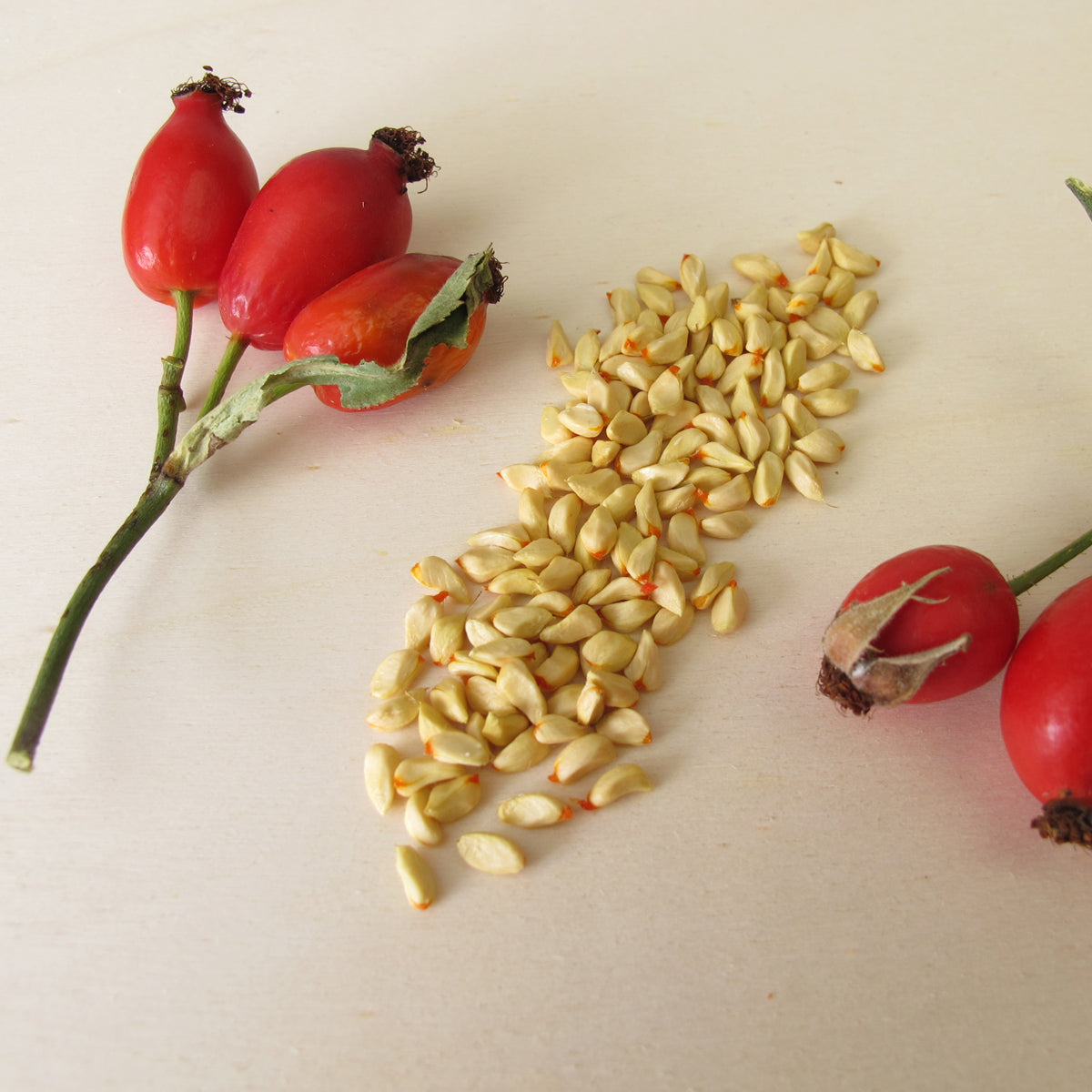 Mannavita ungarsk koldpresset hybenkerneolie • 40 ml