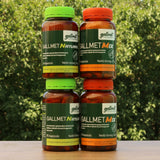 Gallmet Mix galdesyre- og urtekapsler • 60 stk.