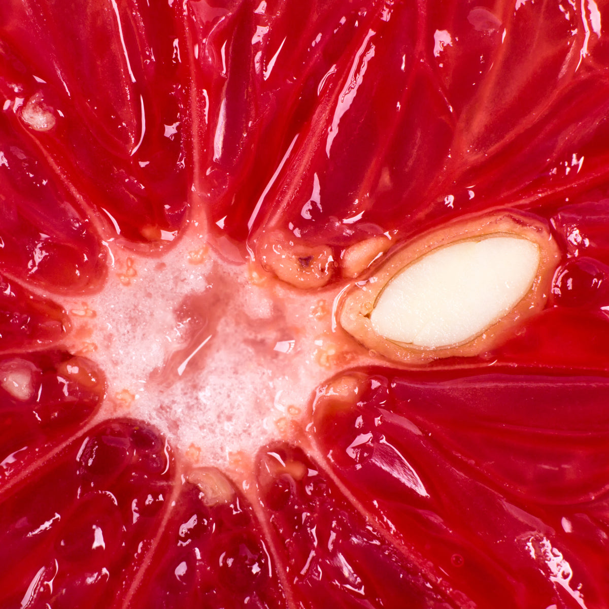 Mannavita Ekstrakt af grapefrugtkerner dråber • 100 ml