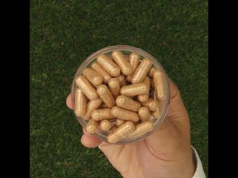 GINK-Q10 • Q10 Coenzym + Ginkgo Biloba kompleks • 60 kapsler