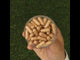 GINK-Q10 • Q10 Coenzym + Ginkgo Biloba kompleks • 60 kapsler