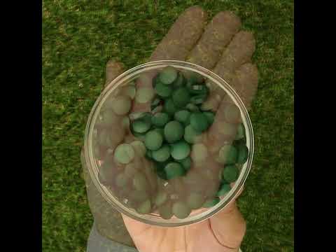 Mannavita Spirulina 500 mg tabletter • 180 stk.