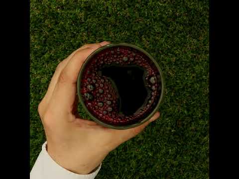 Mannavita Blåbær 100% presset ren juice • 500 ml