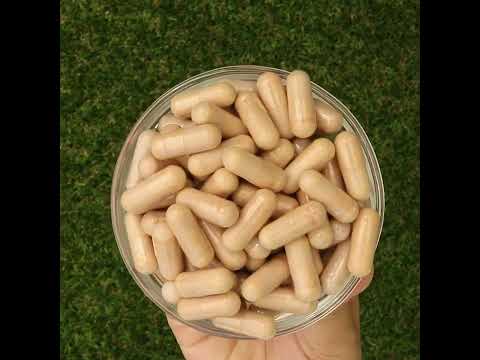 PrOcum Eye strengthening complex • 60 kapsler