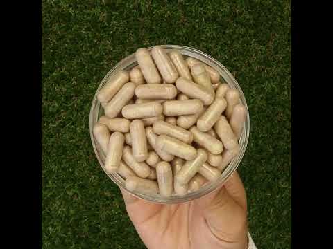 Mannavita Vitamin C kompleks • 250 mg bioaktiv • 60 kapsler