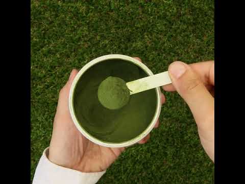 Mannavita rå Hvedegræs juicepulver • glutenfri • 140g