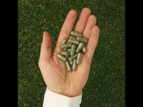 IMUNEX algekompleks • med 5 alger • 180 kapsler