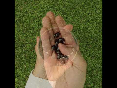 MegaKRILL 1500 mg krill olie + fiskeolie • 90 kapsler