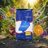 Taragüi yerba mate-te • Rene blade – Sin palo • 500 g